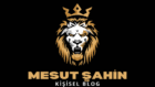MESUTSAHIN-LOGO